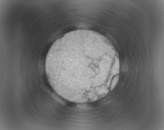 X0000081280666200702081954