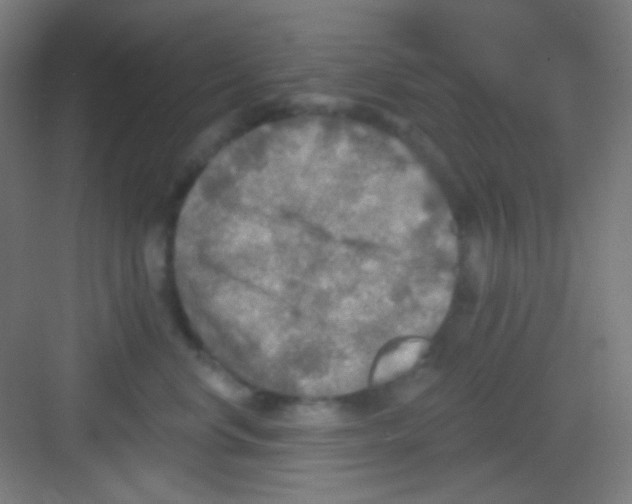 X0000081280668200702081954