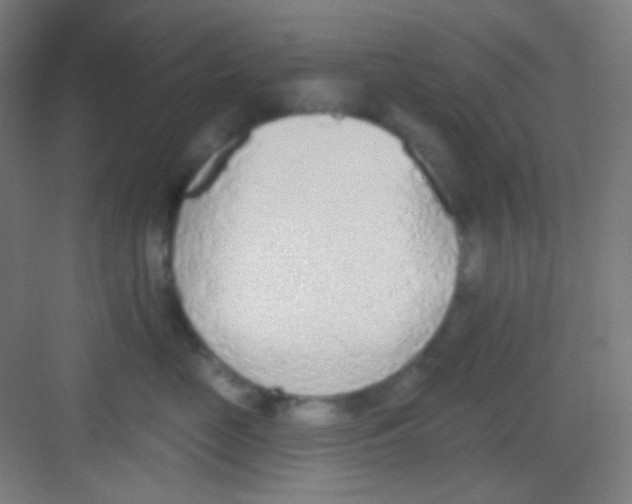 X0000081280669200702081954