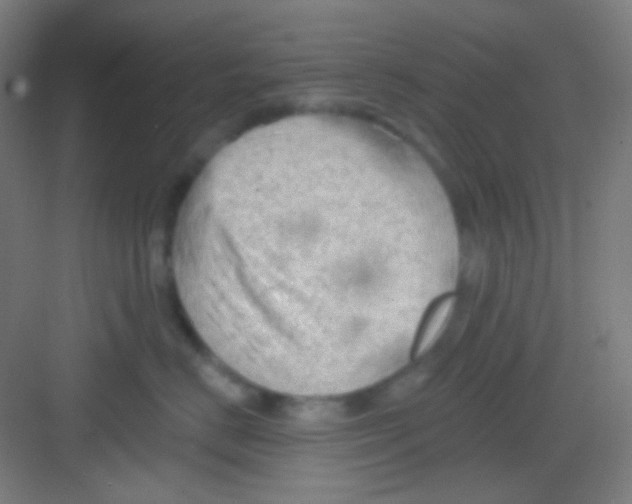 X0000081280670200702081954