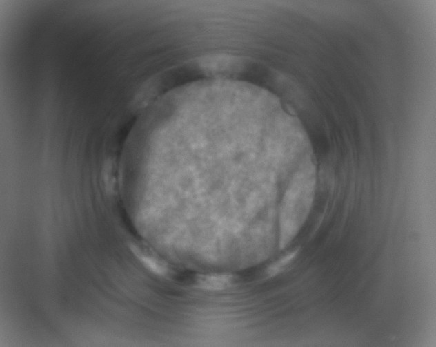 X0000081280671200702081954