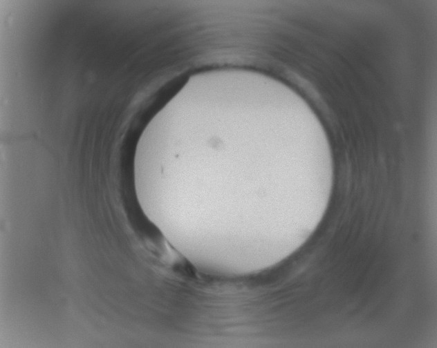 X0000081280673200702081953