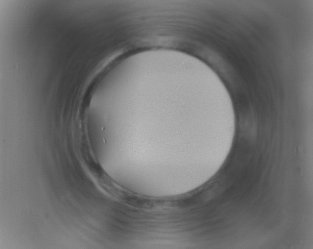 X0000081280674200702081953