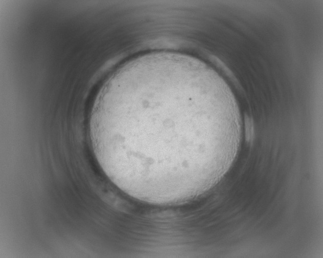 X0000081280675200702081953