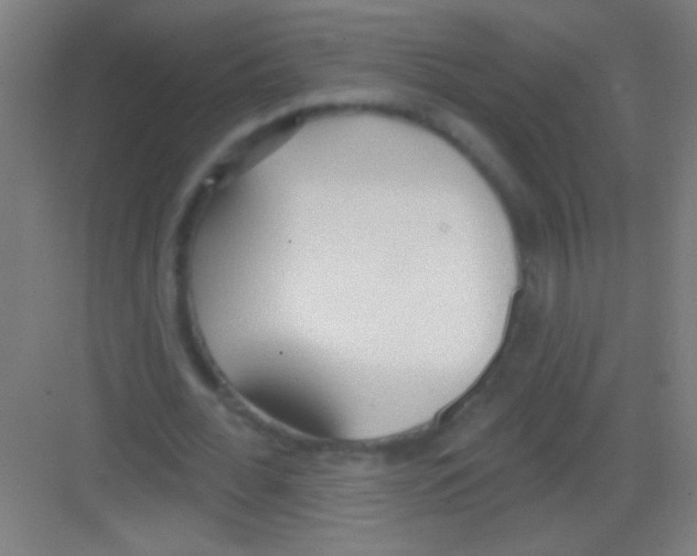 X0000081280676200702081953