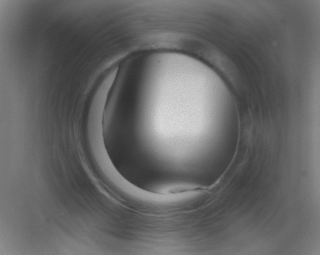 X0000081280677200702081953