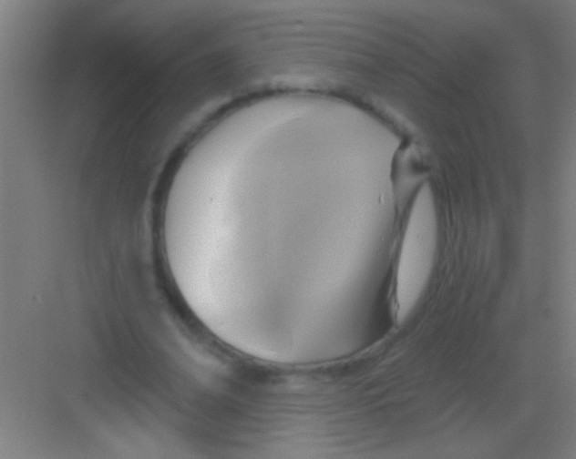 X0000081280678200702081953