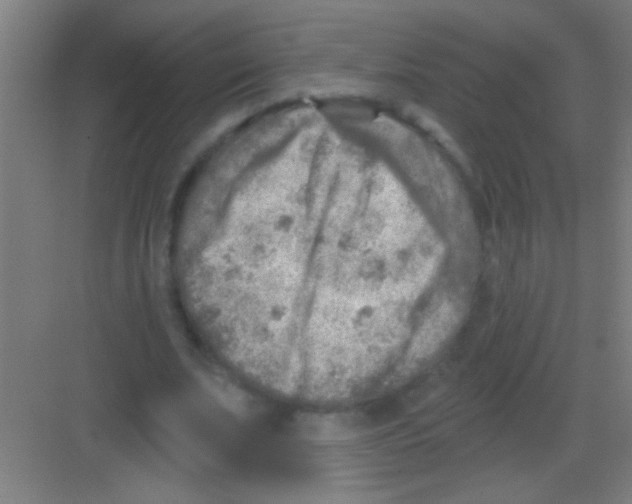 X0000081280679200702081953