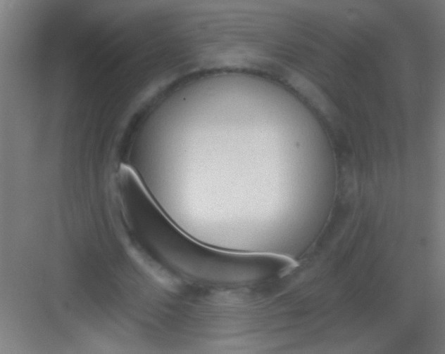 X0000081280680200702081953