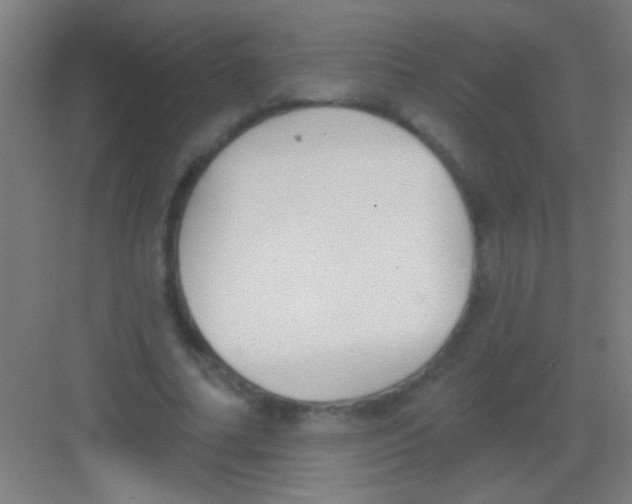 X0000081280682200702081953