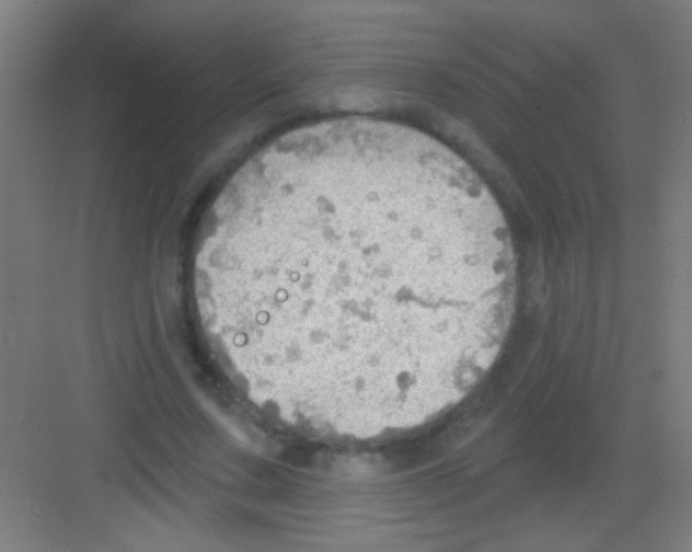 X0000081280683200702081953