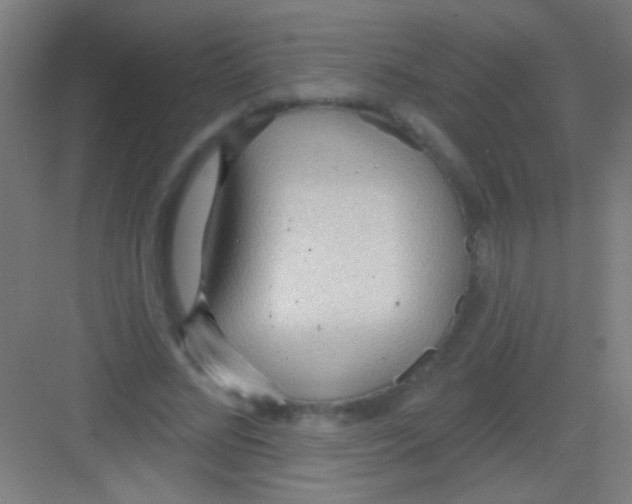 X0000081280684200702081953