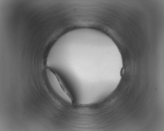 X0000081280685200702081953