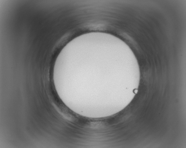 X0000081280686200702081953