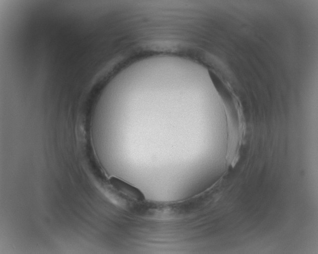 X0000081280688200702081953