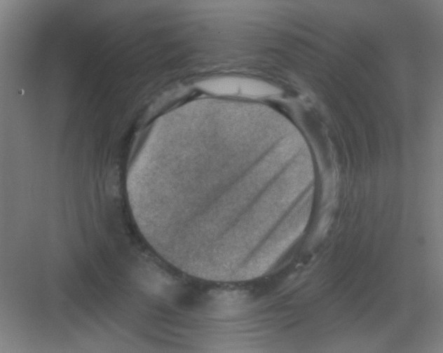 X0000081280689200702081953