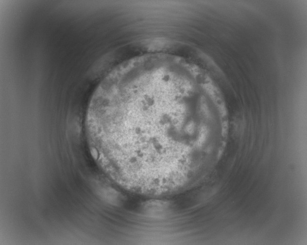 X0000081280691200702081953