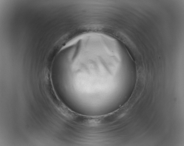 X0000081280692200702081953