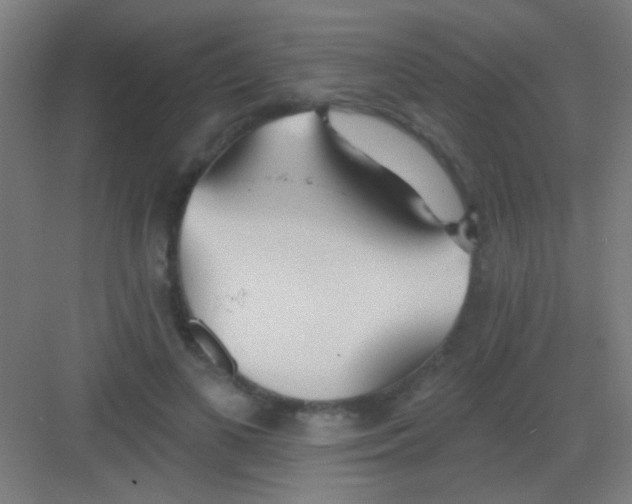 X0000081280693200702081953