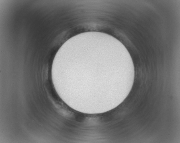 X0000081280694200702081953