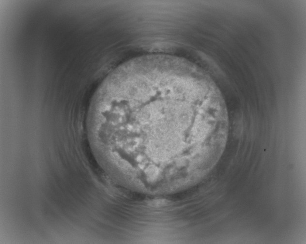 X0000081280695200702081953