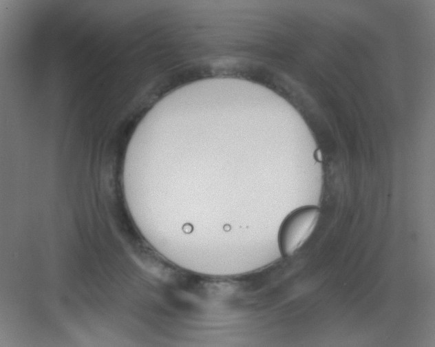 X0000081280698200702081953