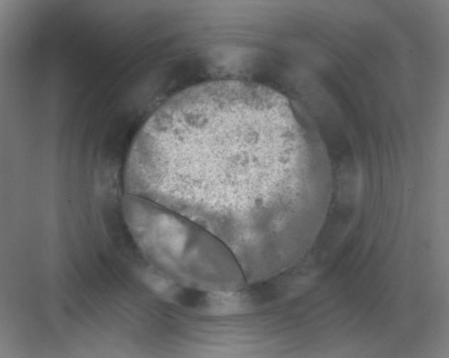 X0000081280699200702081953