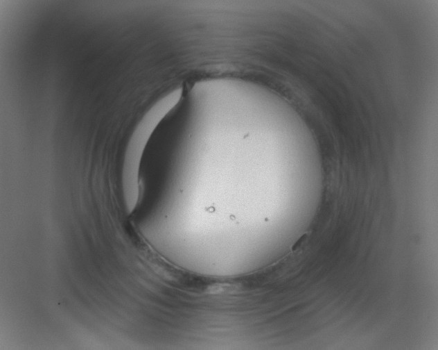 X0000081280700200702081953