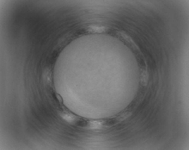 X0000081280701200702081953