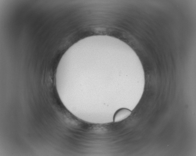 X0000081280702200702081953