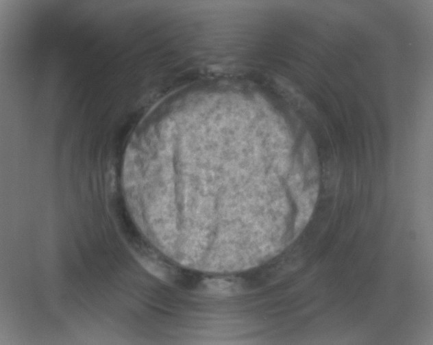 X0000081280703200702081953