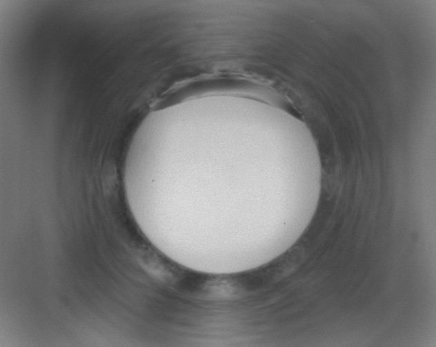 X0000081280704200702081953