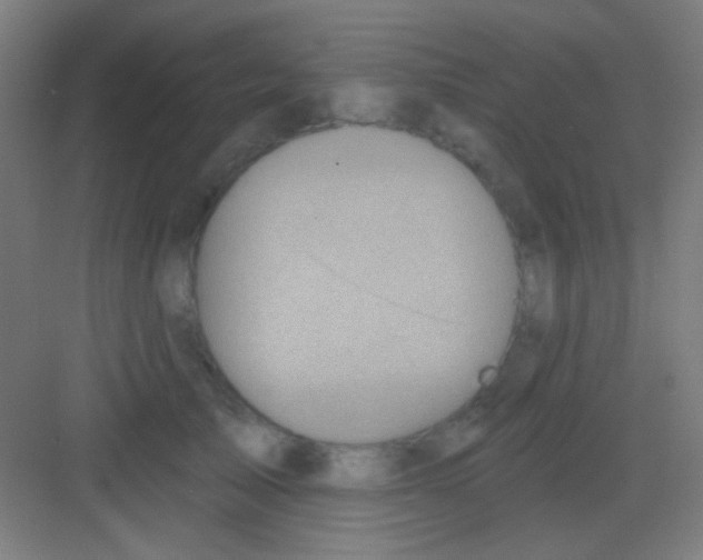 X0000081280705200702081953