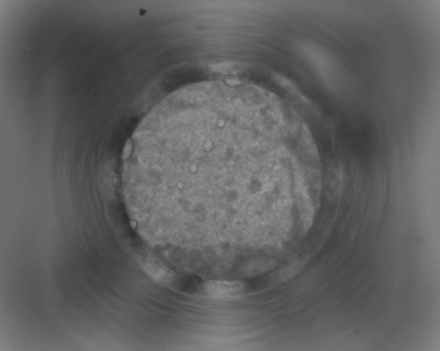 X0000081280707200702081953