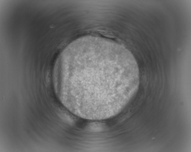 X0000081280708200702081953