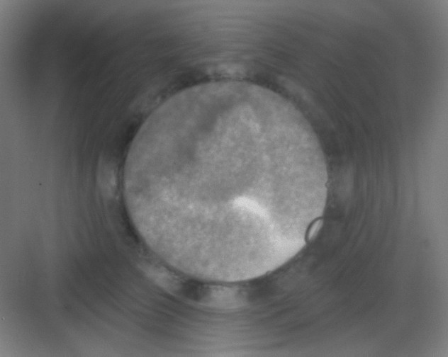 X0000081280709200702081953