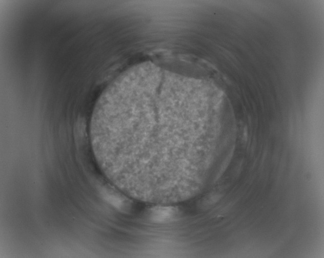 X0000081280711200702081953