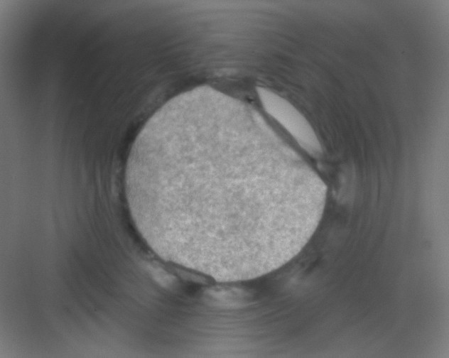 X0000081280712200702081953