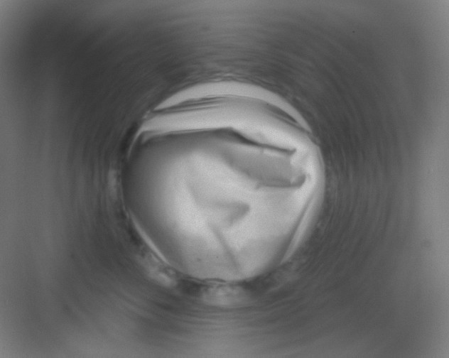 X0000081280716200702081953