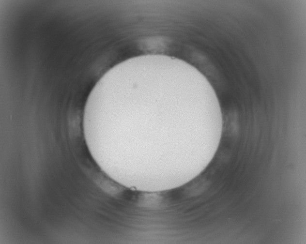 X0000081280717200702081953