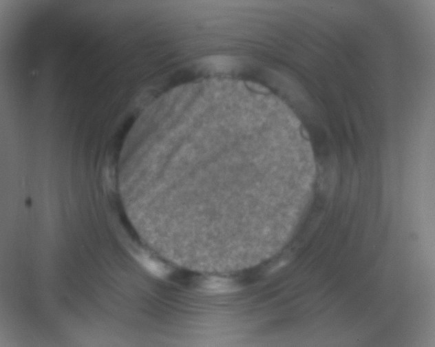 X0000081280718200702081952