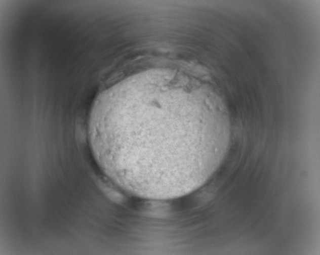 X0000081280719200702081952