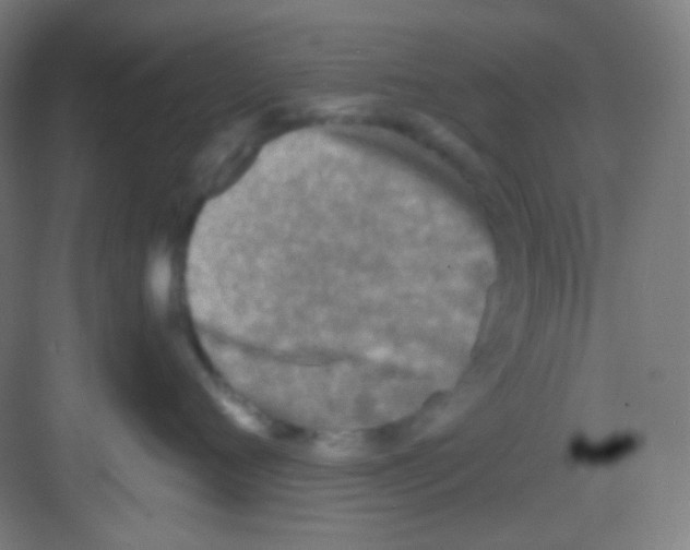 X0000081280720200702081952