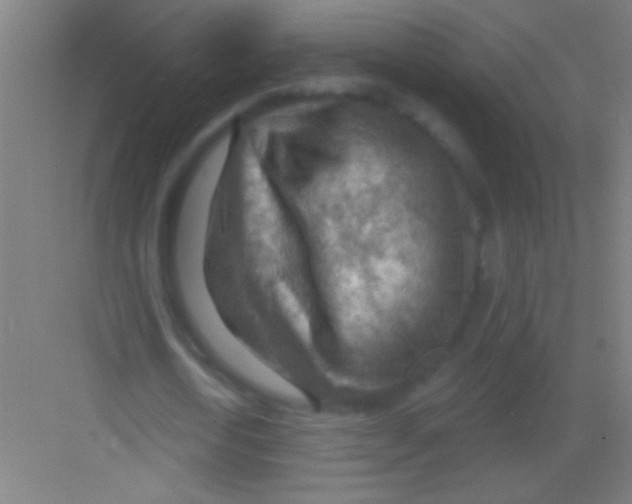 X0000081280722200702081952