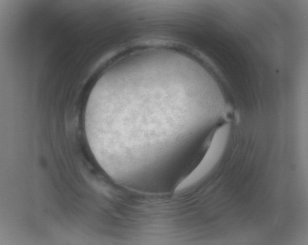 X0000081280723200702081952