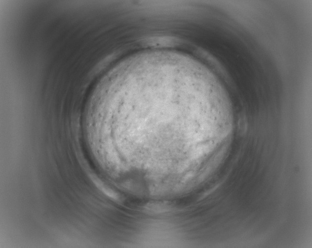 X0000081280725200702081952