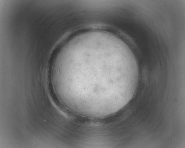 X0000081280730200702081952