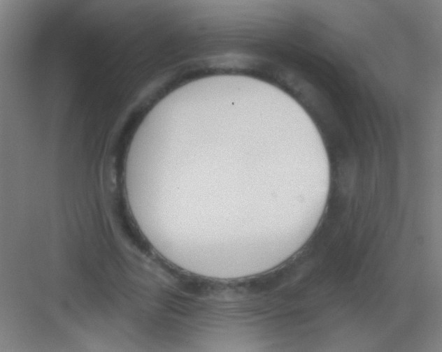 X0000081280731200702081952