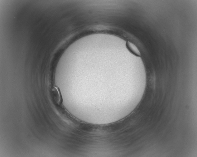 X0000081280732200702081952