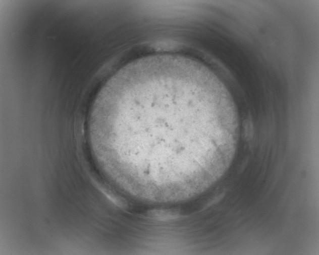 X0000081280733200702081952